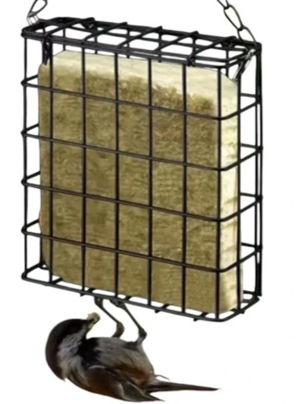 Bird Feeder for Bird Suet New in package